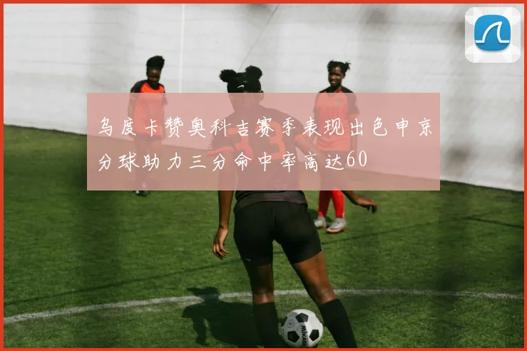 乌度卡赞奥科吉赛季表现出色申京分球助力三分命中率高达60