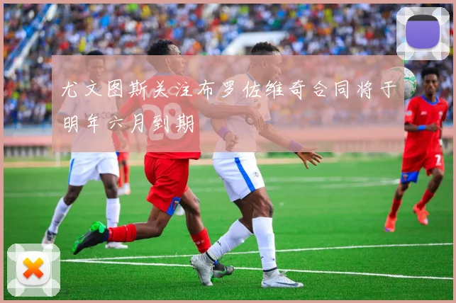 尤文图斯关注布罗佐维奇合同将于明年六月到期