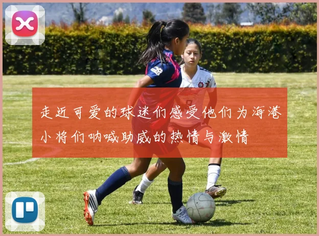 走近可爱的球迷们感受他们为海港小将们呐喊助威的热情与激情