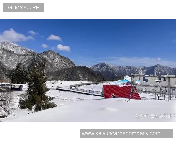 德国后卫赫特纳乘缆车意外坠落去世年仅34岁令人惋惜